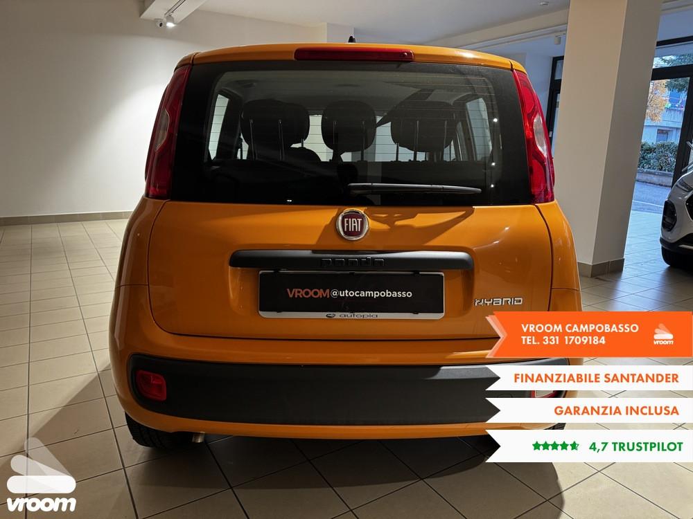 FIAT Panda 3ª serie Panda 1.0 FireFly S&S Hybrid