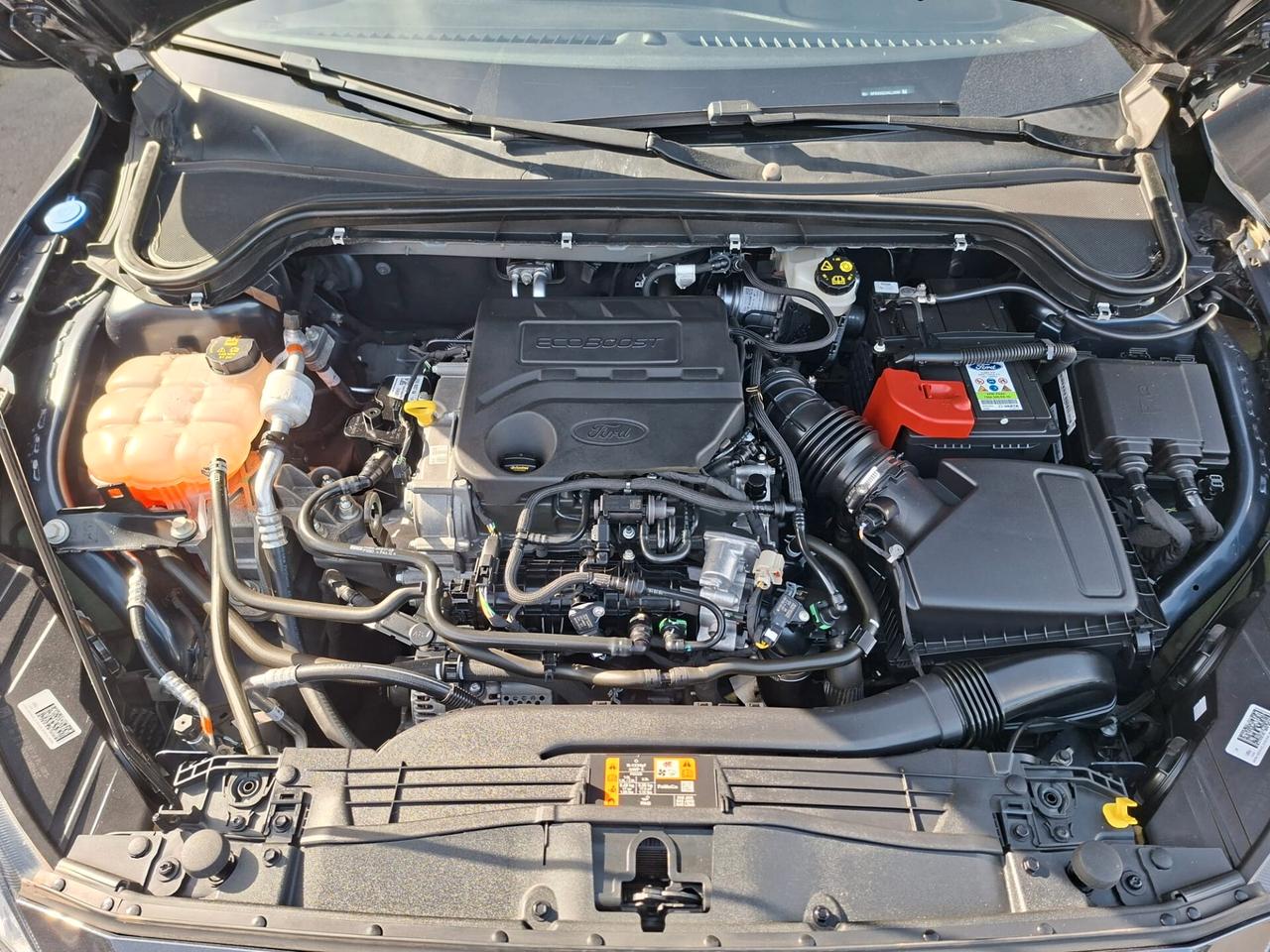 Ford Focus EcoBoost Hybrid 125 CV 5p. ST-Line S