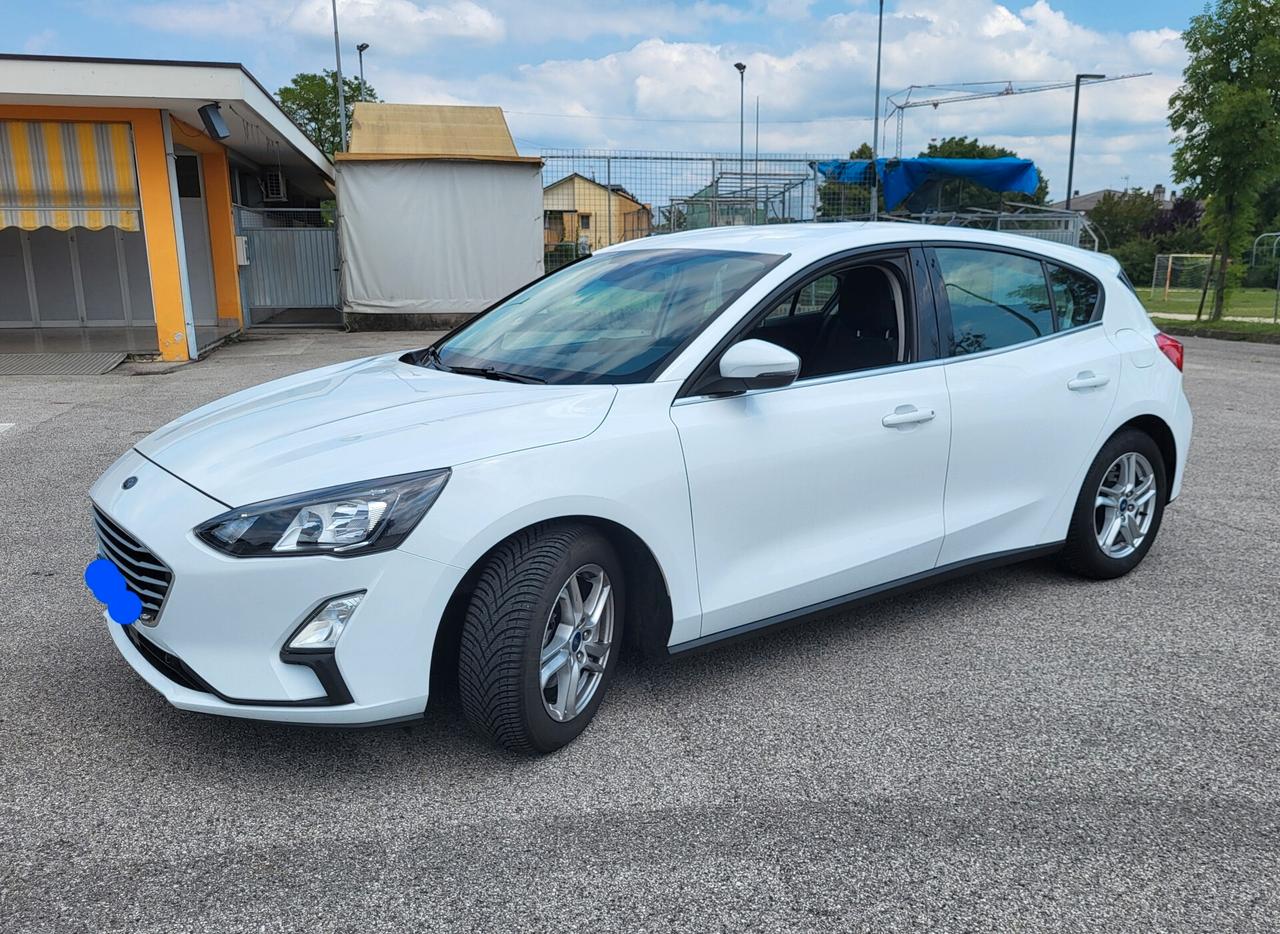 Ford Focus 1.5 EcoBlue 120 CV automatico 5p. Business Co-Pilot