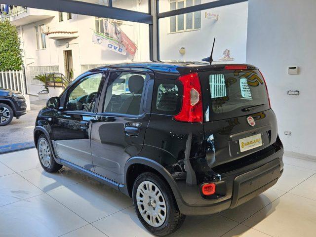 FIAT Panda 1.0 FireFly S&S Hybrid Pandina da ?149,00 mensili