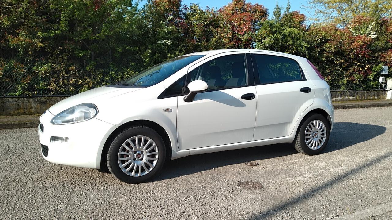 Fiat Punto 1.3 MJT II 75 CV 5 porte Street