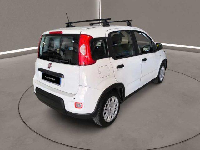 FIAT Panda 3ª serie - 1.0 FireFly S&S Hybrid