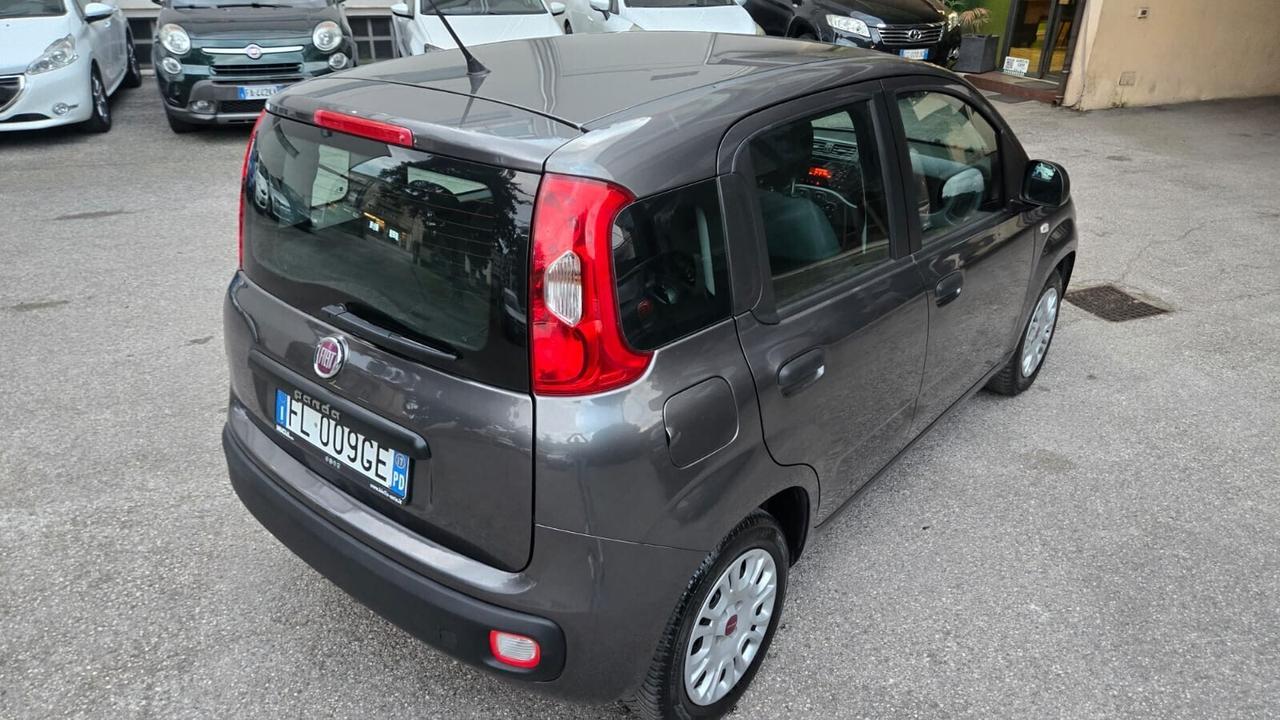 Fiat Panda 1.3 MJT 95 CV S&S Pandazzurri
