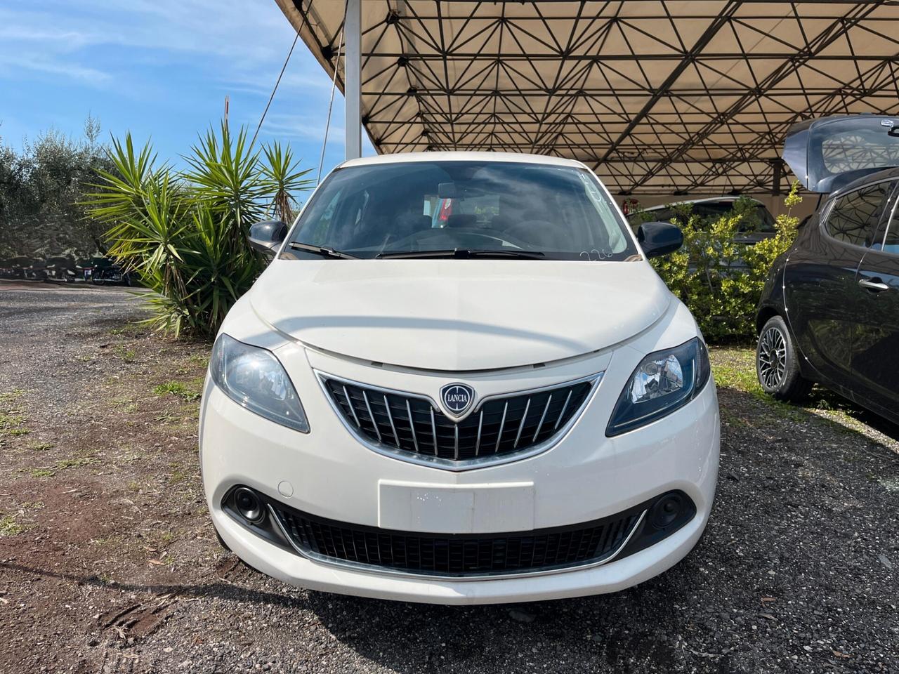 Lancia Ypsilon 1.0 FireFly 5 porte S&S Hybrid Platino