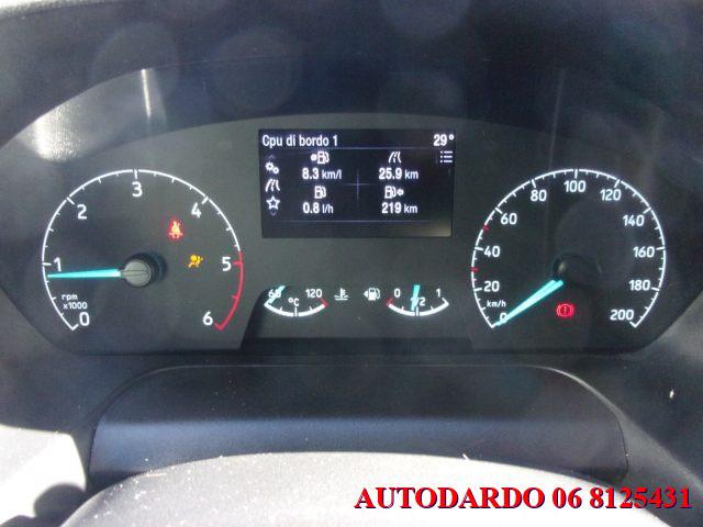 FORD Transit 290 2.0TDCi EcoBlue PM-TM Furgone Trend L2H2