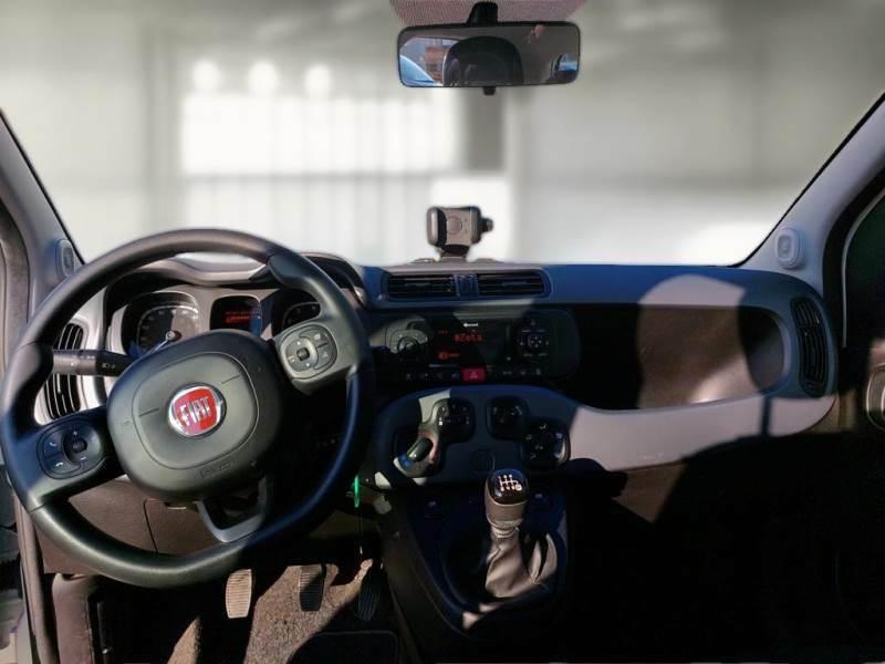 FIAT PANDA 1.0 70cv S/S Hybrid E6d-T City Cross 5 PORTE