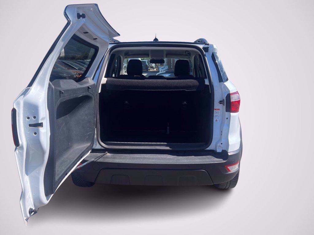 FORD EcoSport 1.0 EcoBoost 125 CV Start&Stop Active del 2022