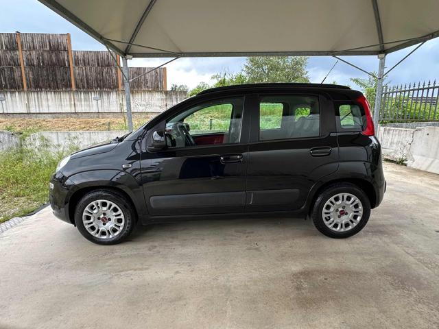 FIAT Panda 1.2 5 POSTI POCHI CHILOMETRI EURO 6B OK NEOP