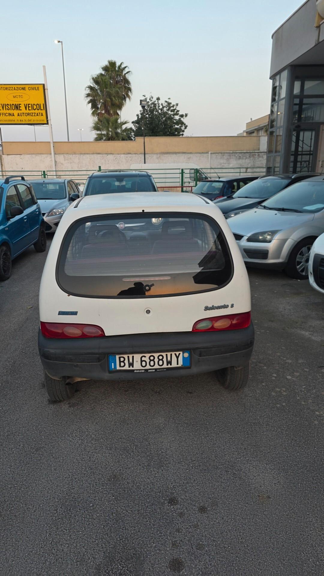 Fiat Seicento 900i cat Young