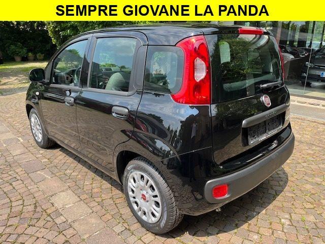 FIAT Panda 1.2 Benzina euro6 Neopatentati