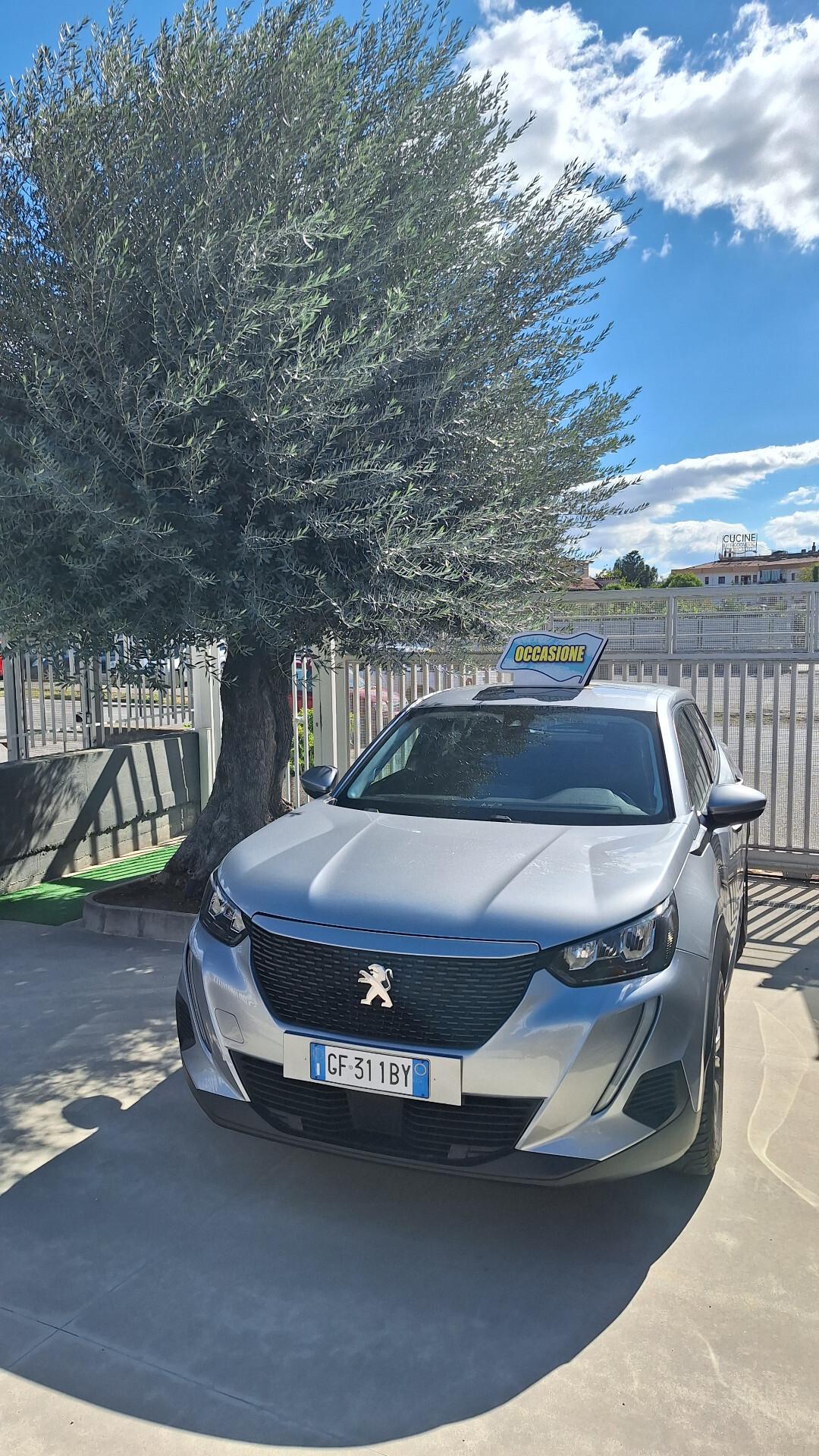 Peugeot 2008 PureTech 100 S&S Active Pack