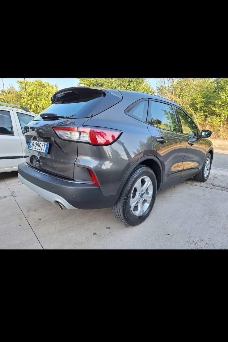 Ford Kuga 1.5 EcoBlue 120 CV 2WD ST-Line X