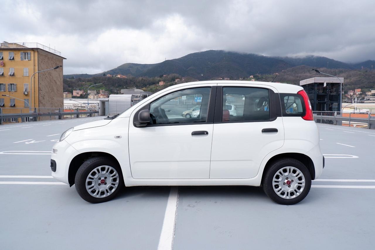 FIAT PANDA 1.2 69CV VAN 4 POSTI N1 EURO6D