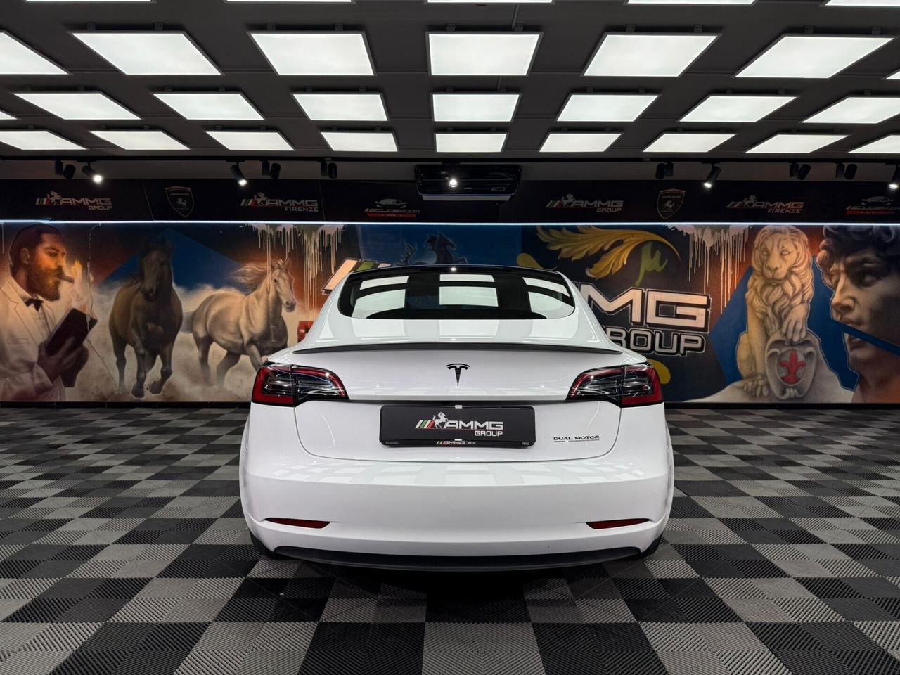 Tesla Model 3 Long Range AWD Performance (522)