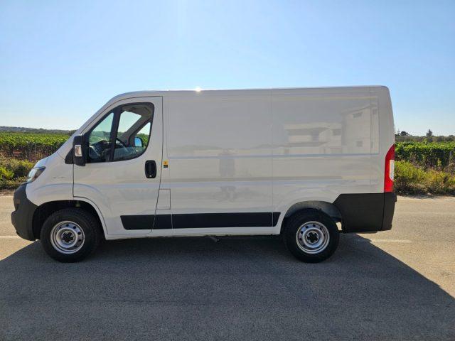 FIAT Ducato 30 2.3 MJT 120CV PC-TN Furgone