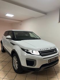 Land Rover Range Rover Evoque Range Rover Evoque 2.0 TD4 180 CV 5p. Pure