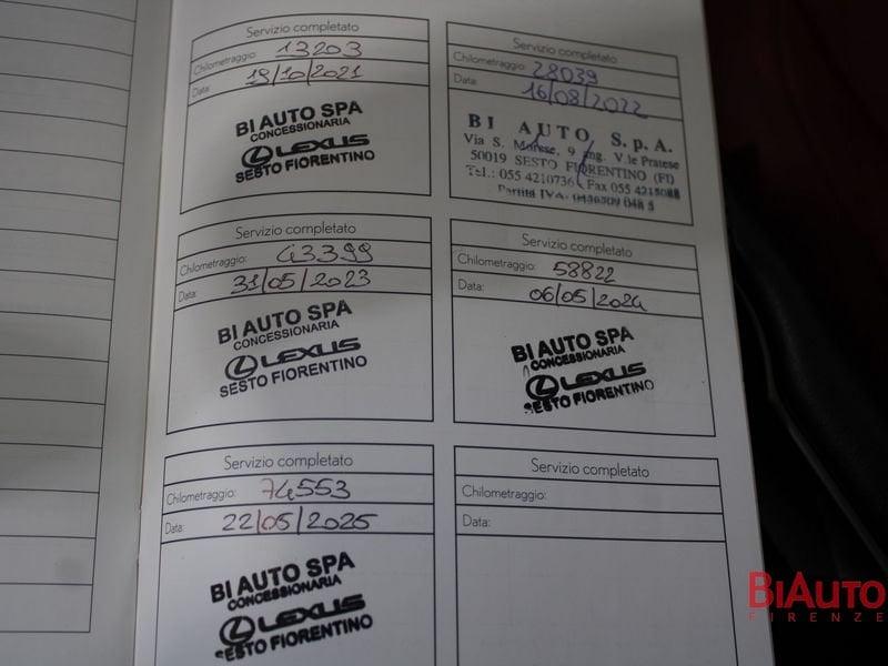 Lexus NX NX 300h 2.5 Premium 4wd cvt