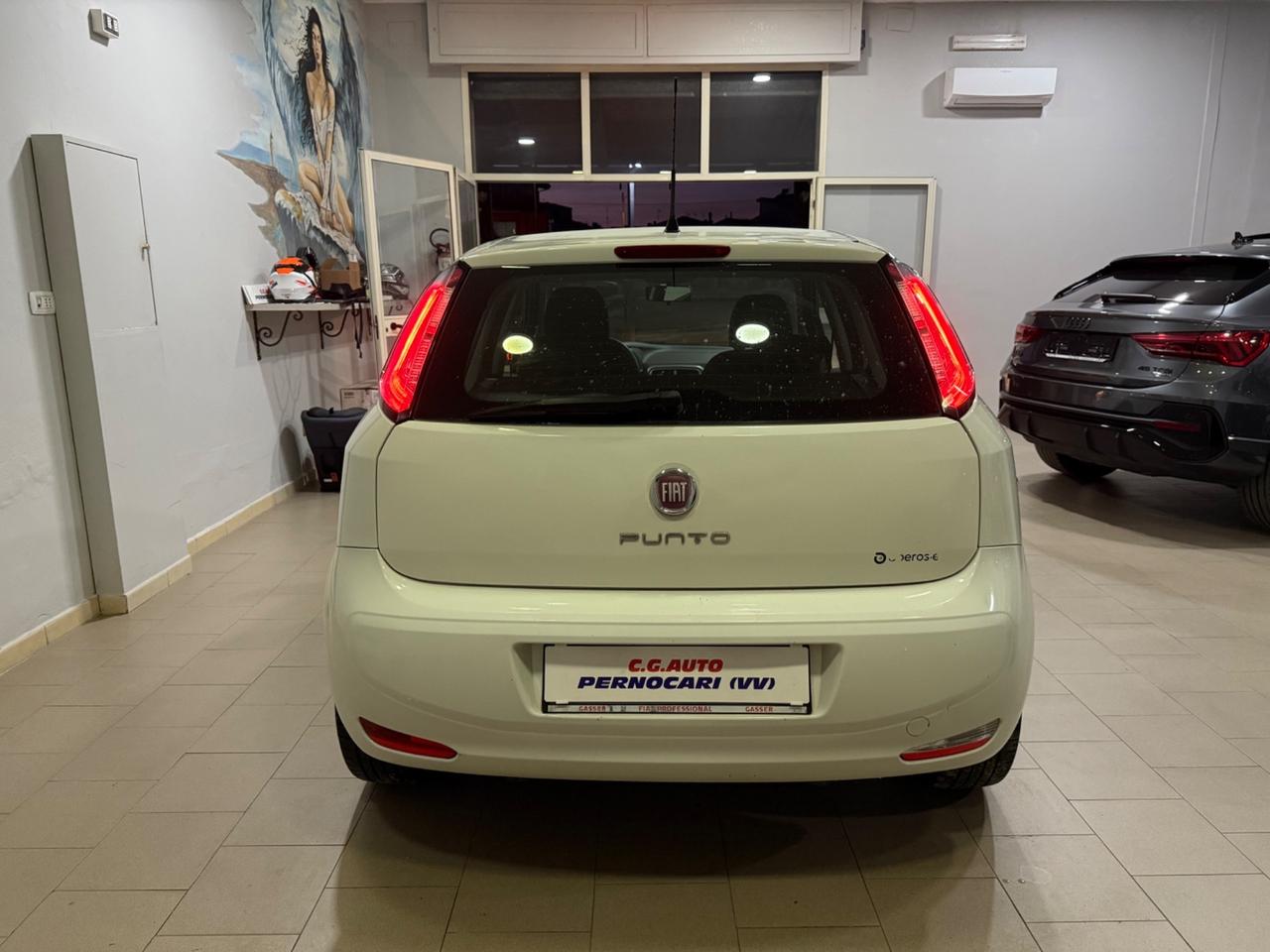 Fiat Punto 1.3 MJT 75CV 5 porte Van Pop 4 posti