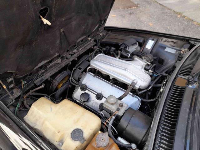 ALFA ROMEO GTV 2.5i V6 BUSSO