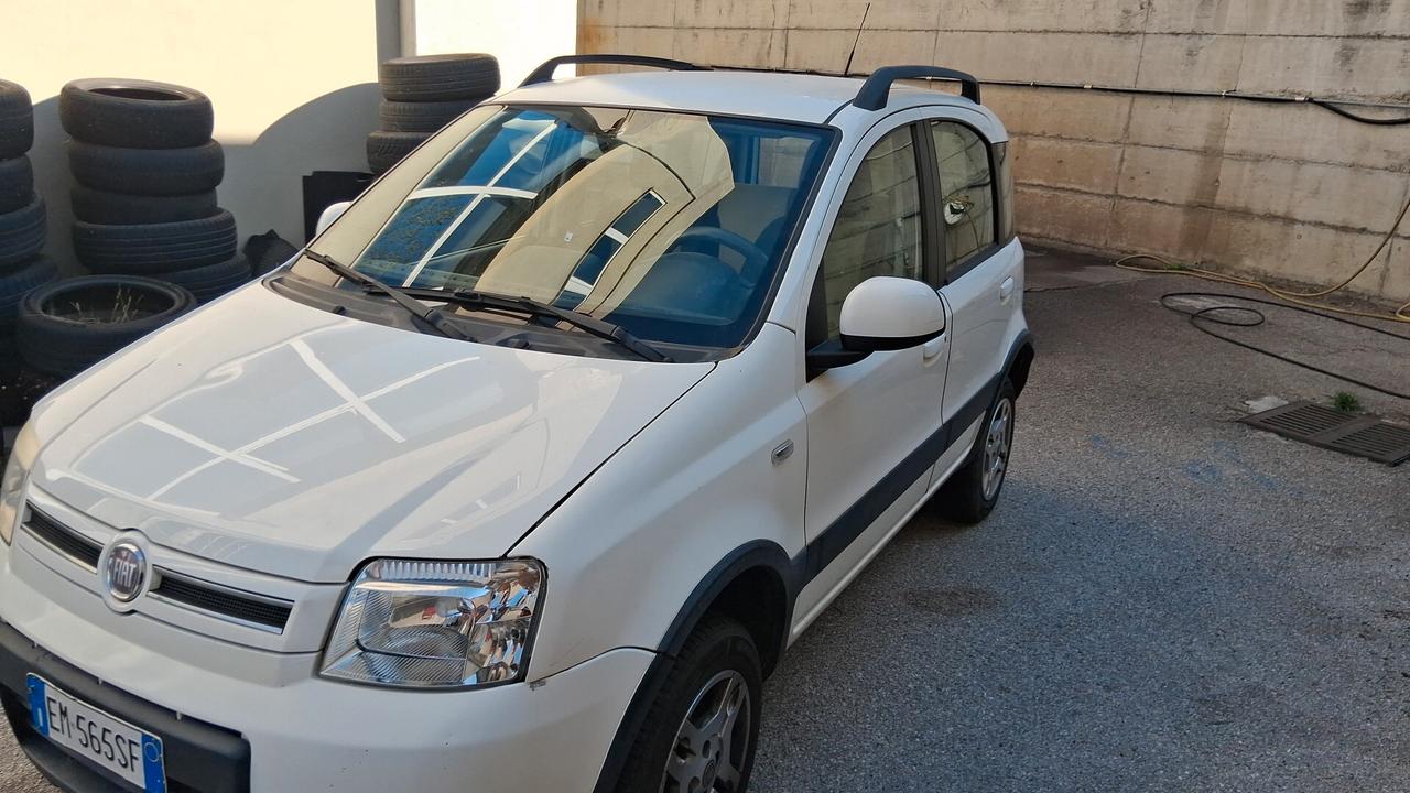 Fiat Panda 1.3 MJT 16V DPF 4x4 Climbing