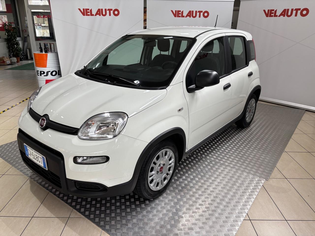 Fiat Panda 1.0 FireFly S&S Hybrid