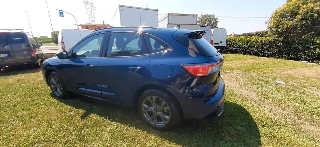 Ford Kuga 1.5 EcoBlue 120 CV aut. 2WD ST-Line