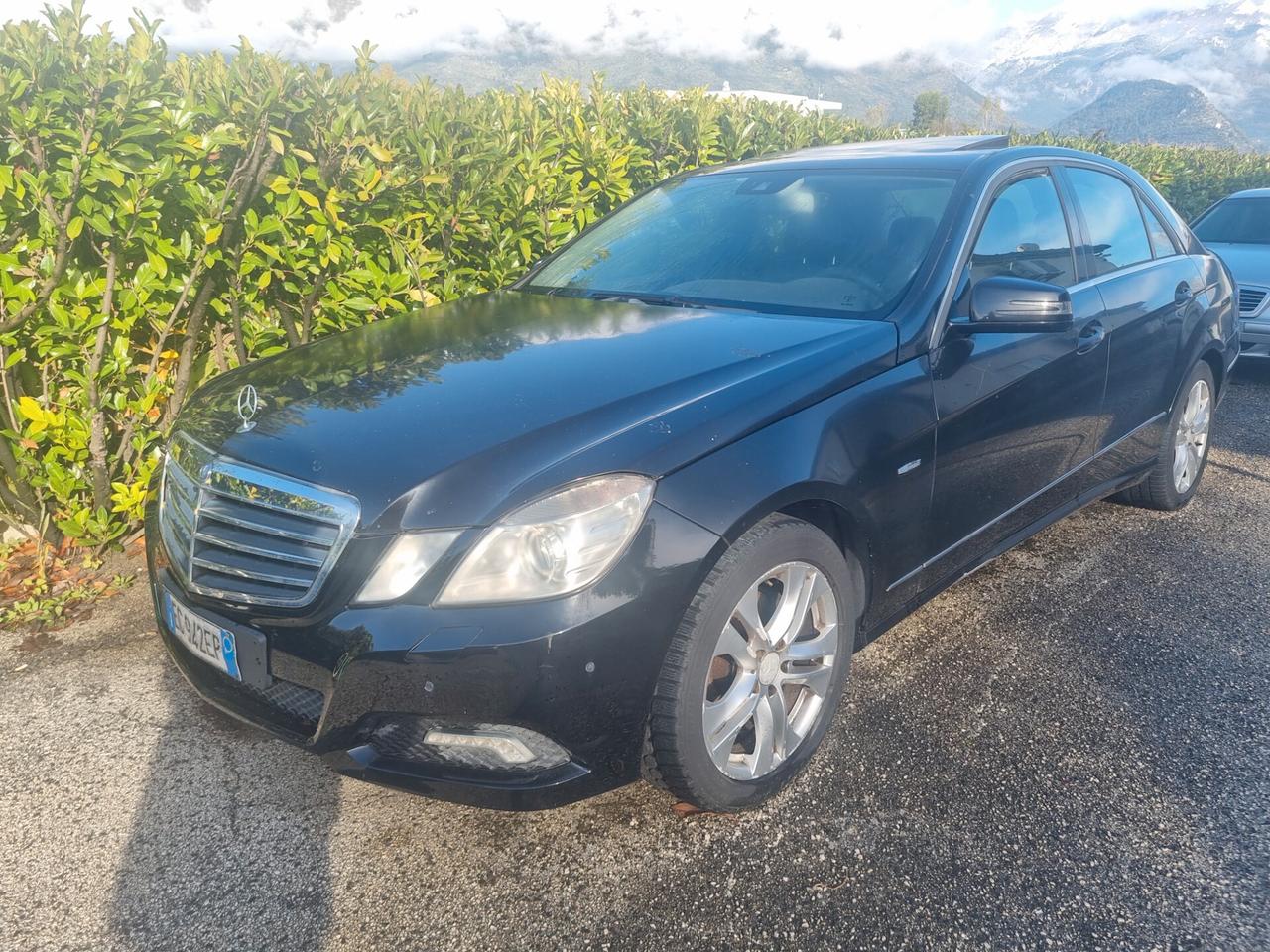 Mercedes-benz E 220 CDI cat EVO Avantgarde