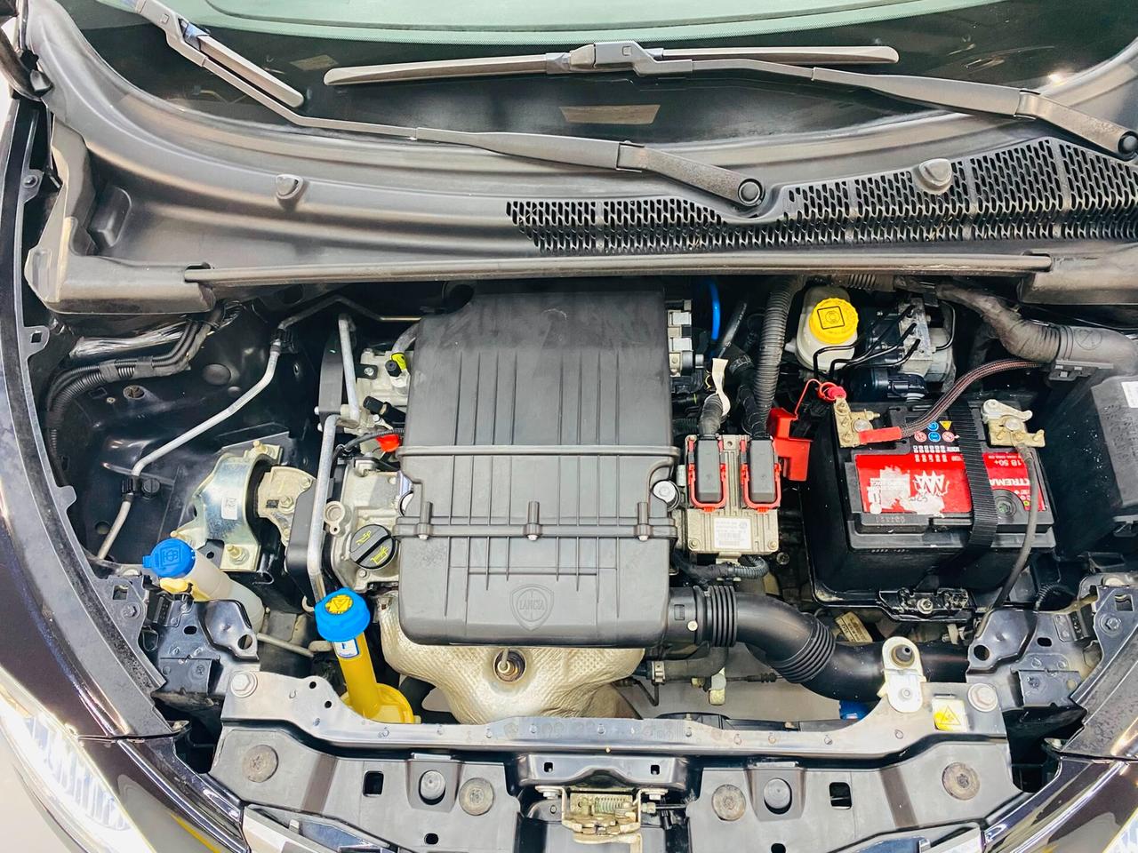 Lancia Ypsilon 1.2 69 CV 5 porte Platinum