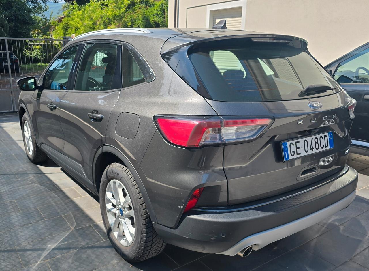 Ford Kuga 2.0 EcoBlue Hybrid 150 CV 2WD Titanium Business