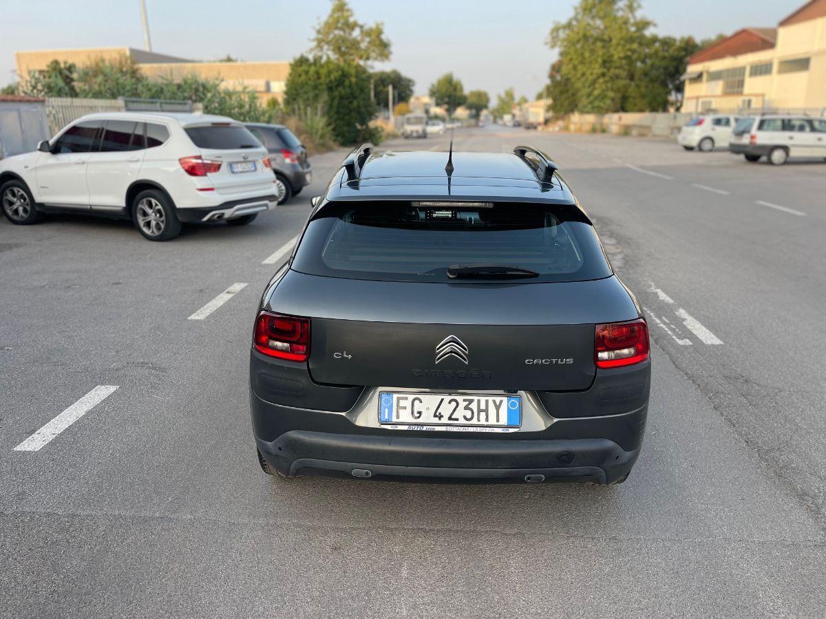 CITROEN - C4 Cactus - BlueHDi 100 Shine