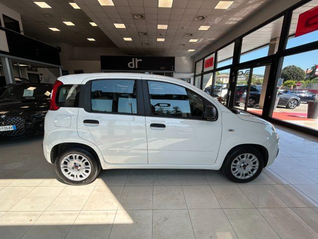 FIAT Panda 1.3 MJT 95 CV S&S Easy- OK NEOPATENTATI