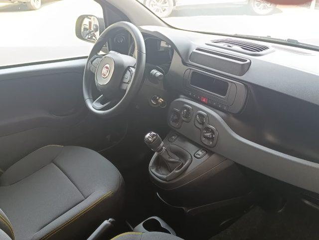 FIAT Panda 1.0 FireFly S&S Hybrid Pandina