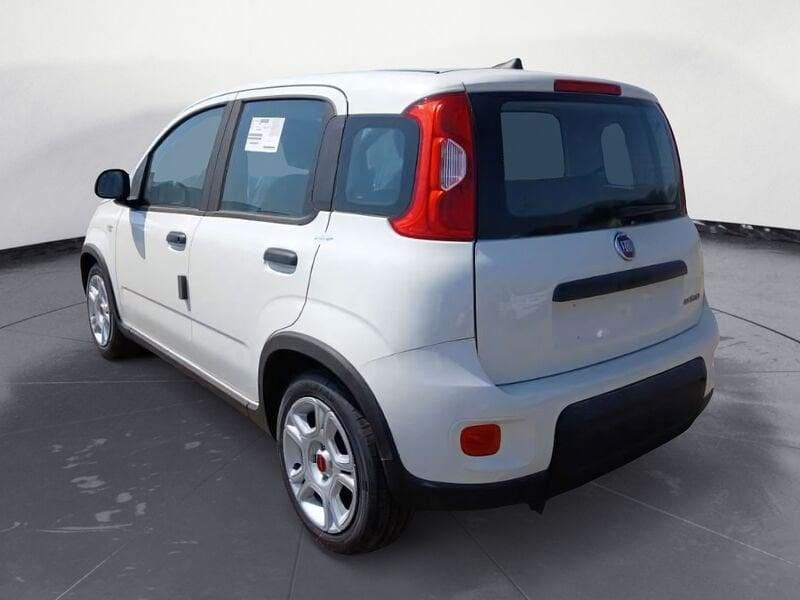 FIAT Panda NEW My23 1.0 70cv Hybrid Panda