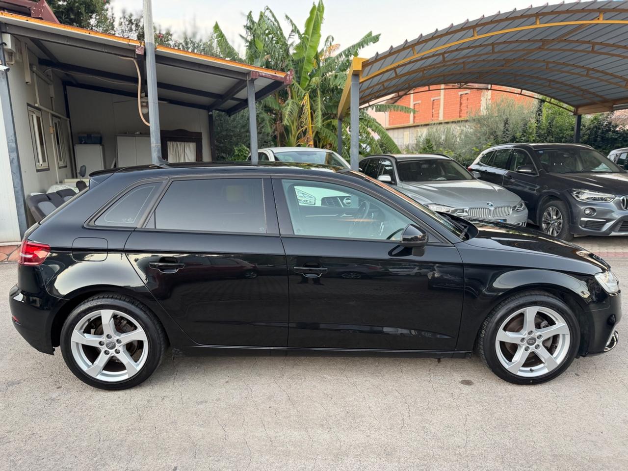 Audi A3 SPB 1.6 TDI 116 CV Km Certificati