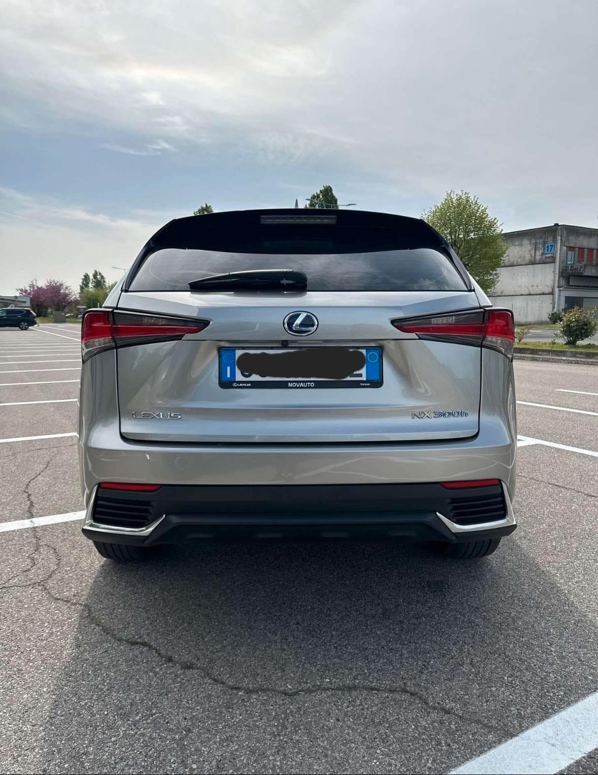 Lexus NX 300h NX Hybrid 4WD Executive