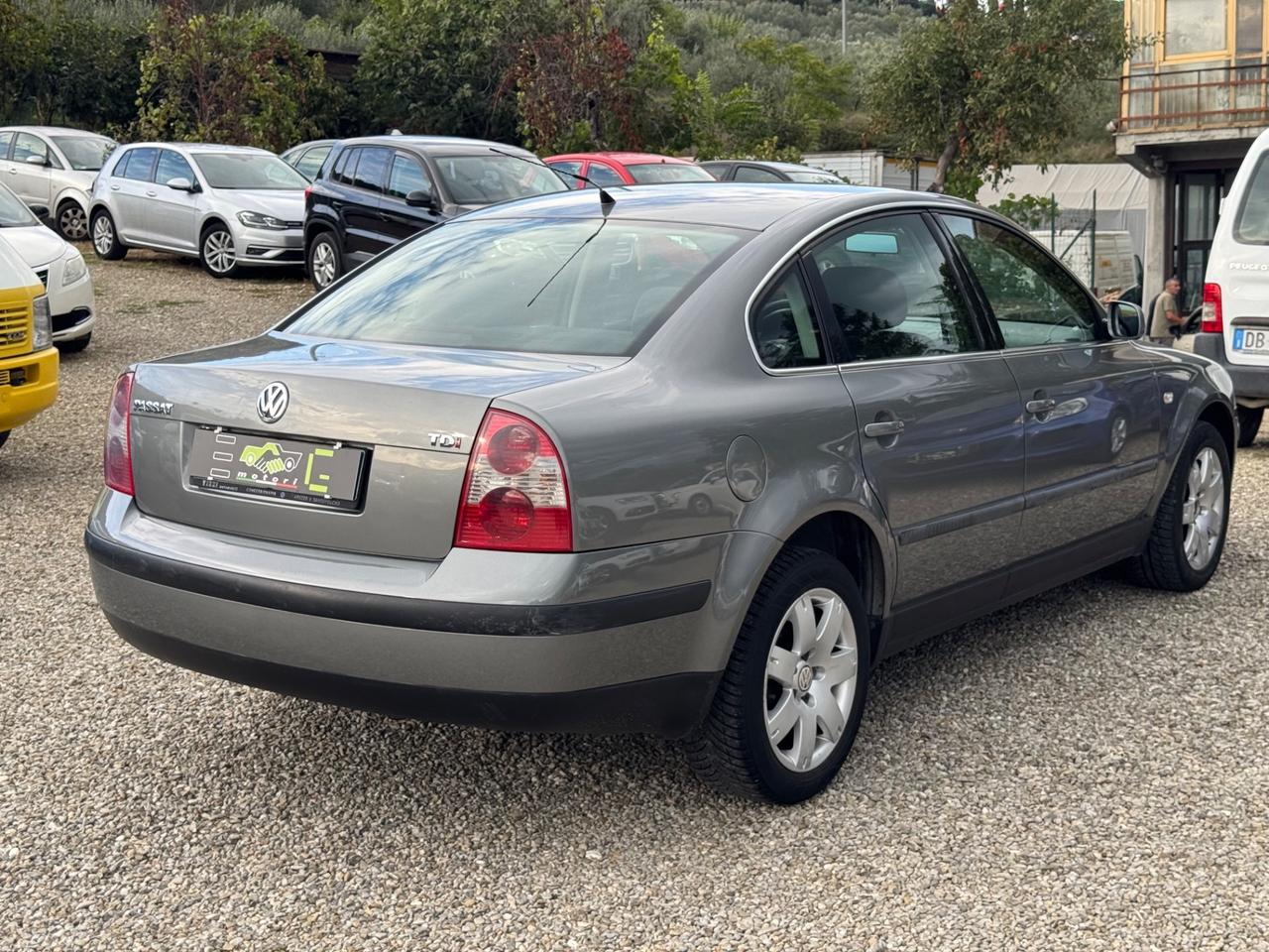 Volkswagen Passat 1.9 TDI/101 CV cat Business