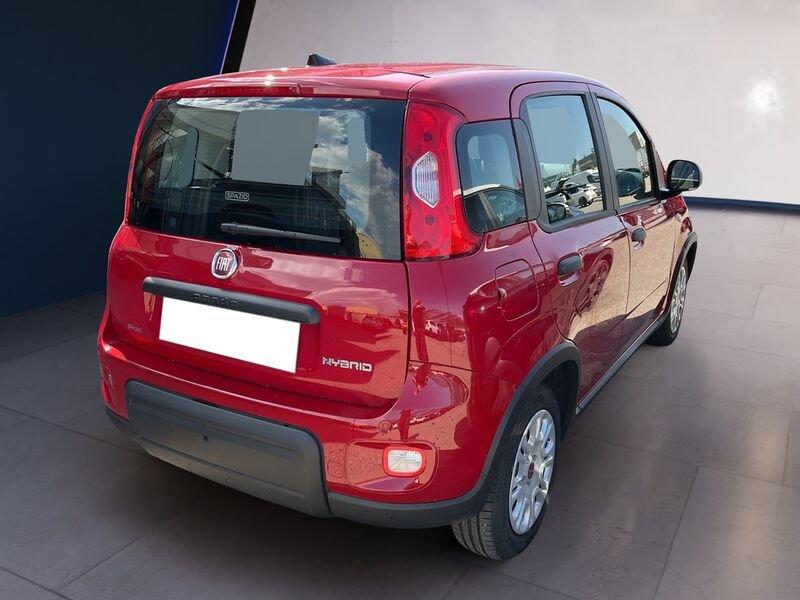 FIAT Panda My24 1.0 70cv Hybrid Panda