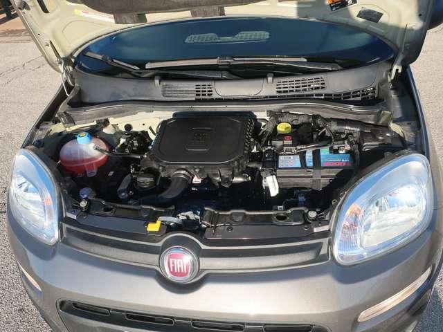 Fiat Panda Panda III 2021 1.0 firefly hybrid s&s