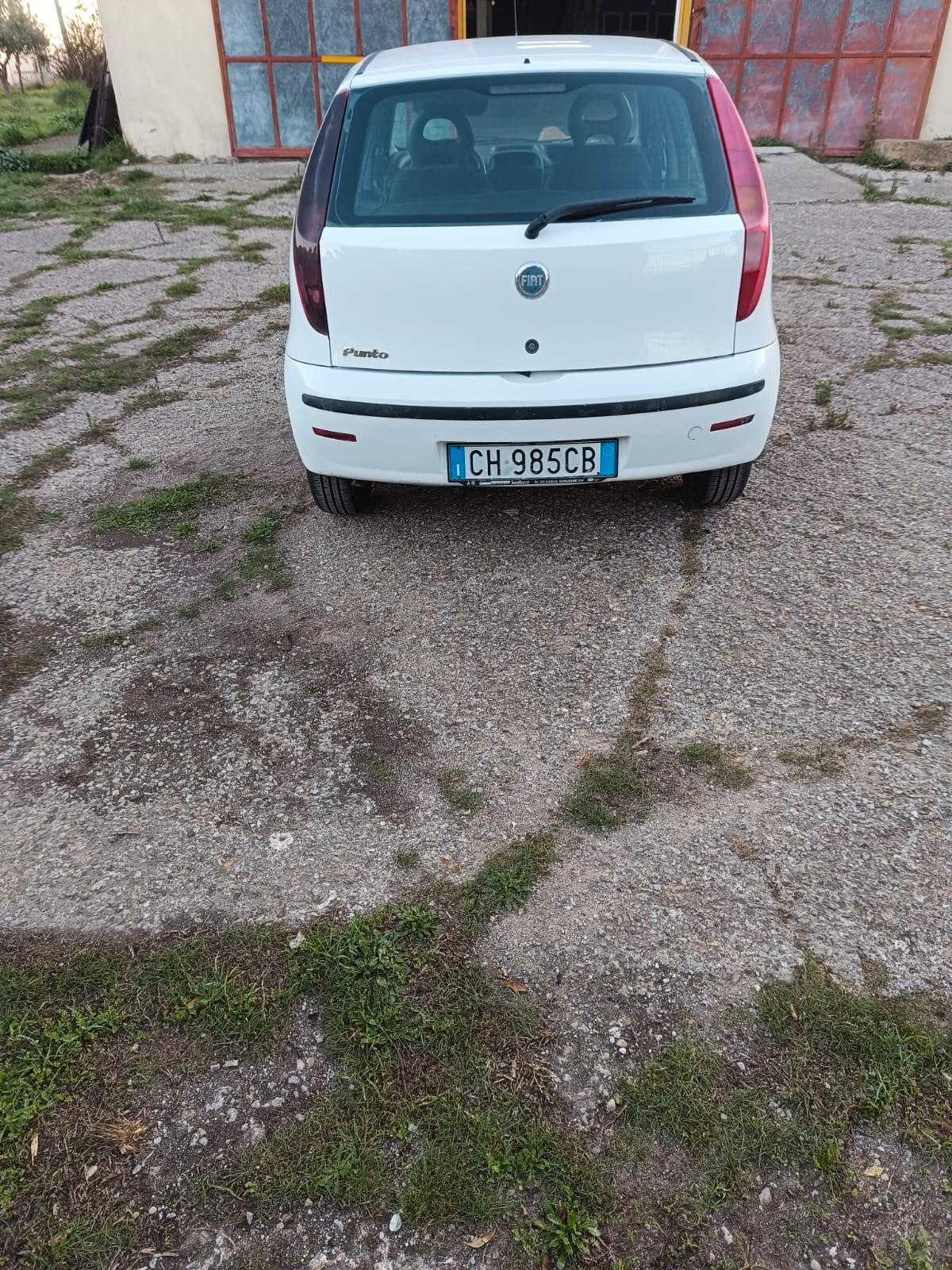 Fiat Punto 1.3 Multijet 16V 5 porte Actual