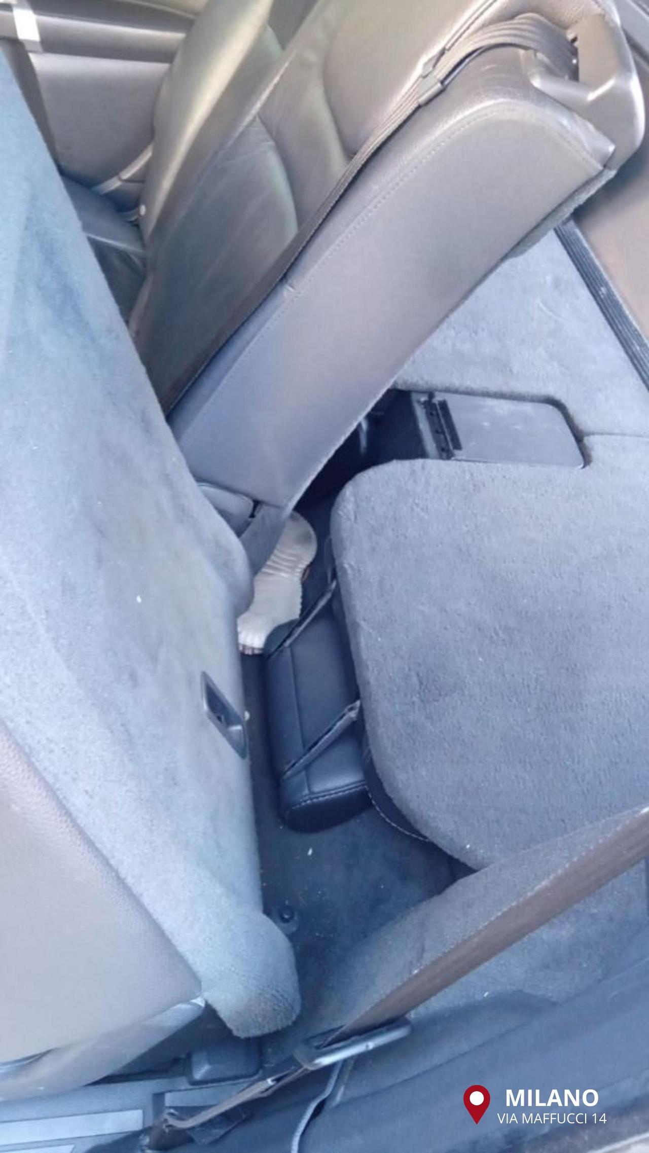 Volvo XC90 D5 AWD Geartronic Executive 7 posti/gancio traino