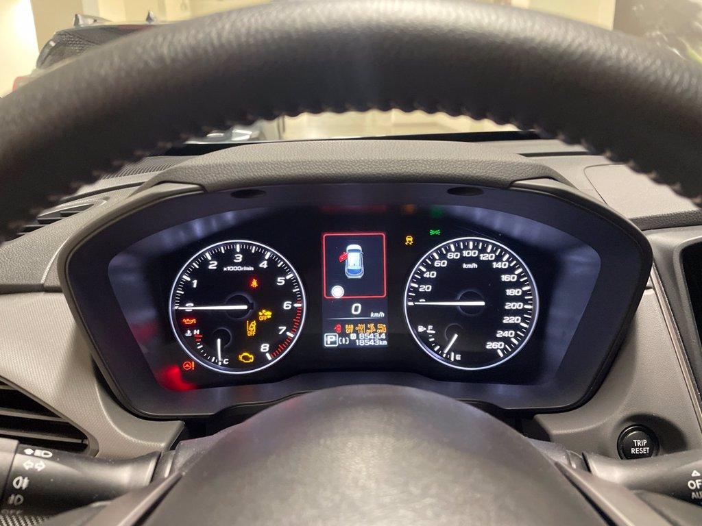 SUBARU Crosstrek 2.0i e-boxer Premium del 2023