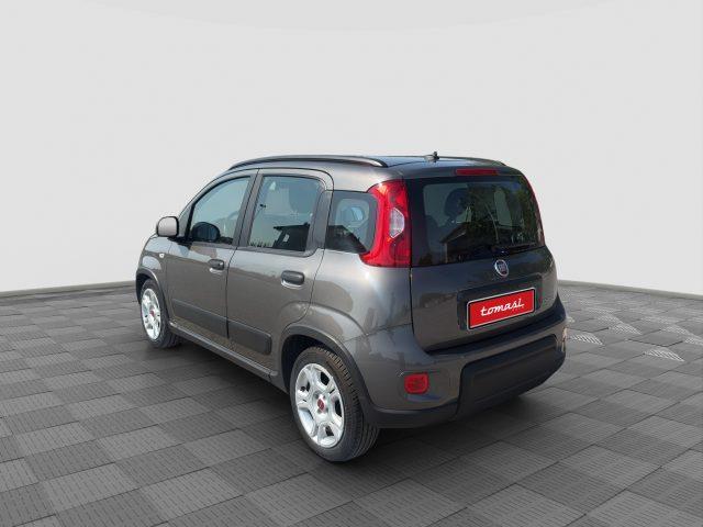 FIAT Panda Panda 1.0 FireFly Hybrid City Life