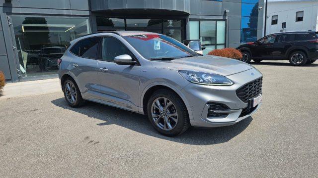 FORD Kuga 1.5 EcoBlue 120 CV aut. 2WD ST-Line X