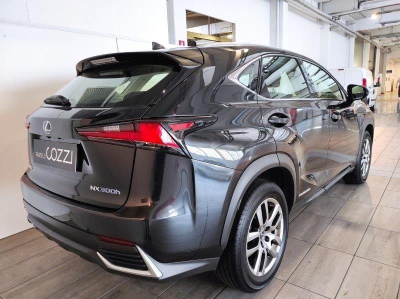 Lexus NX 1ª serie Hybrid Business