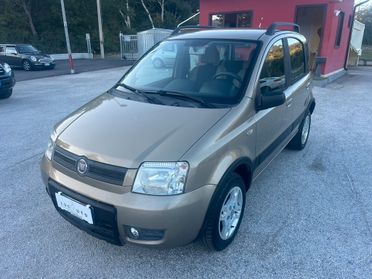 Fiat Panda 1.2 Climbing Natural Power