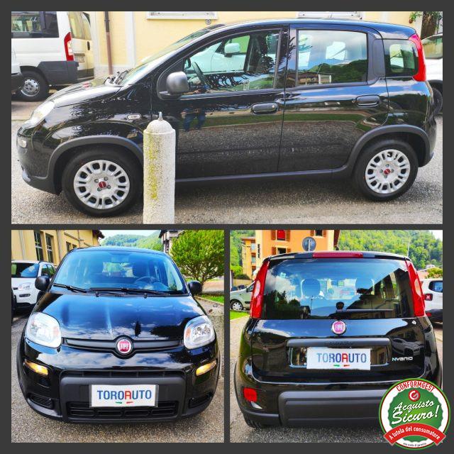 FIAT Panda 1.0 FireFly Hybrid PRONTA CONSEGNA