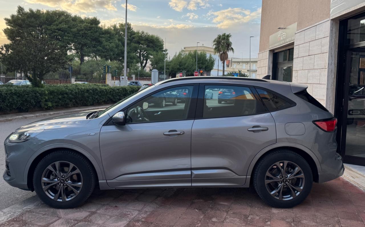 Ford Kuga 1.5 TDCI 120 CV ST-Line AUTO