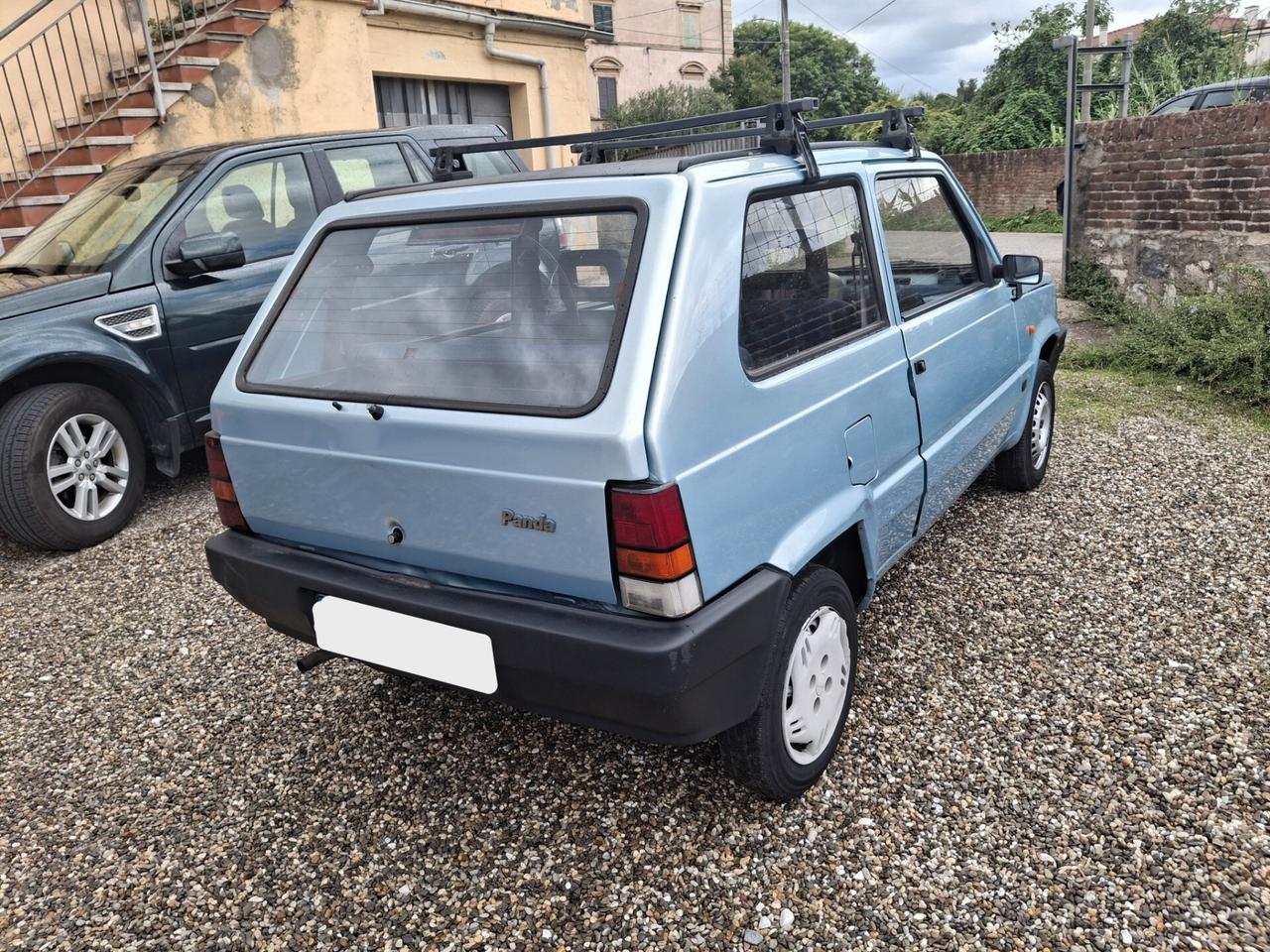 Fiat Panda 1100 i.e. cat Young