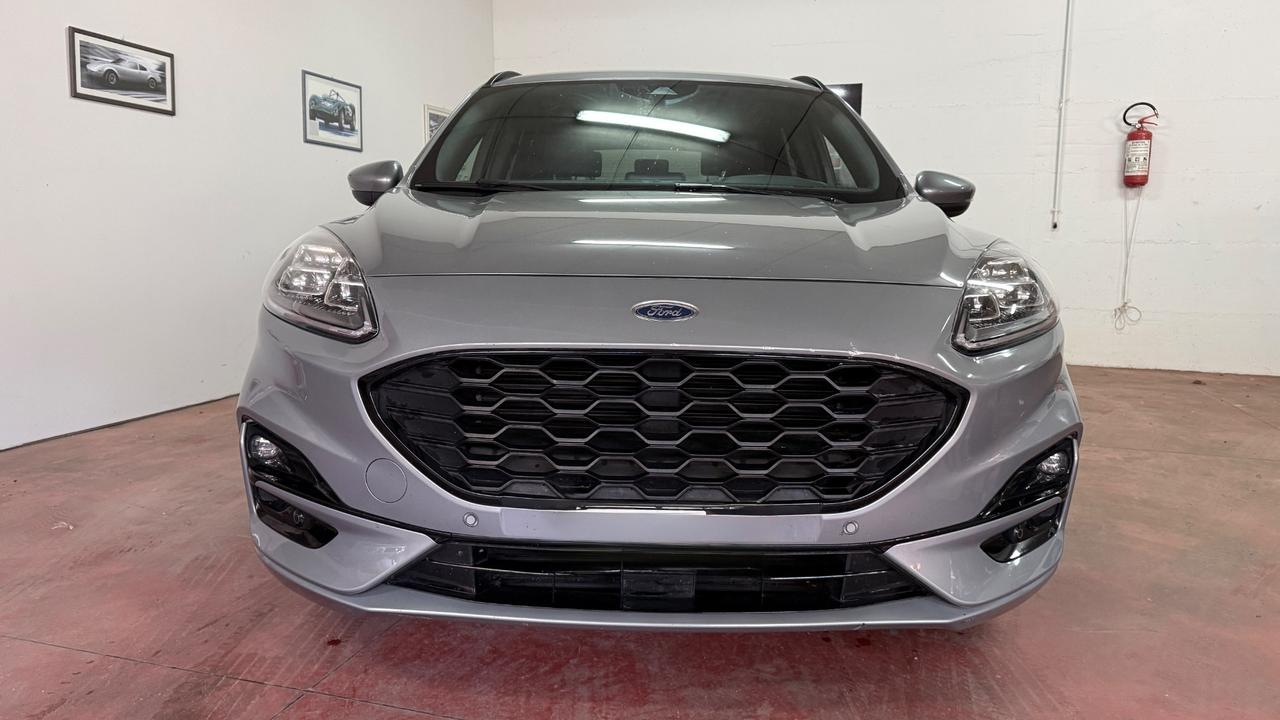 Ford Kuga 2.0 EcoBlue Hybrid 150 CV 2WD St Line X