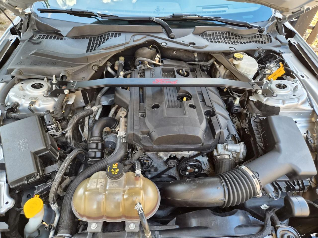 Ford Mustang CABRIO 2.3 ECOBOOST 10 MARCE SHELBY
